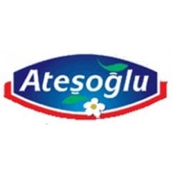 Atesoglu