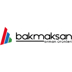 Baktiroglu