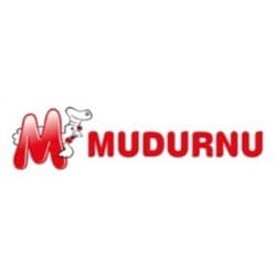 Mudurnu